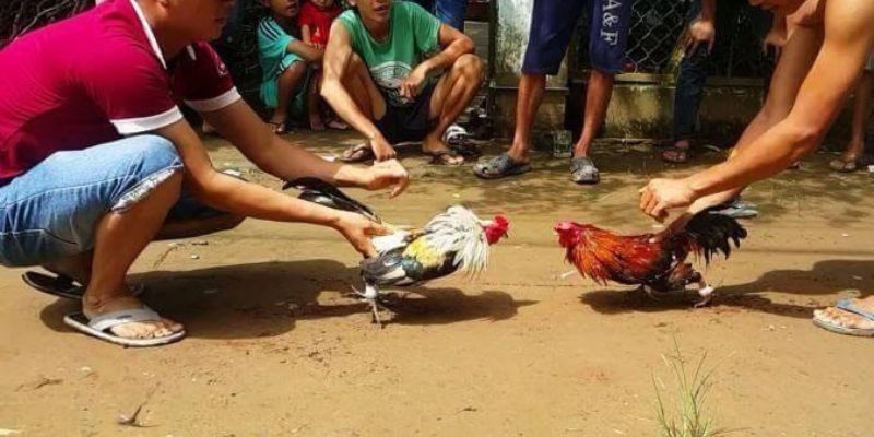Các hoạt động quảng bá khác của Kinh88 - Kinh88