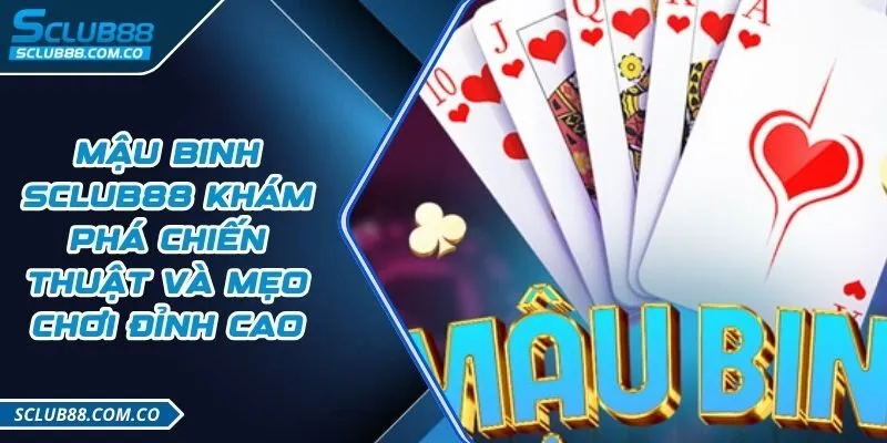 Vesovn cung cấp một hệ thống cá cược chất lượng cao - Vesovn