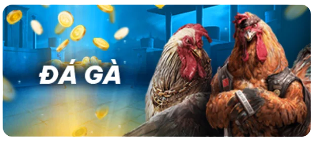 Trải nghiệm trực tiếp 9Fun diễn ra như thế nào? - 9Fun