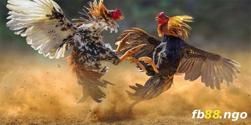 Trải nghiệm dịch vụ đổi điểm thưởng của Ga6789 - Ga6789