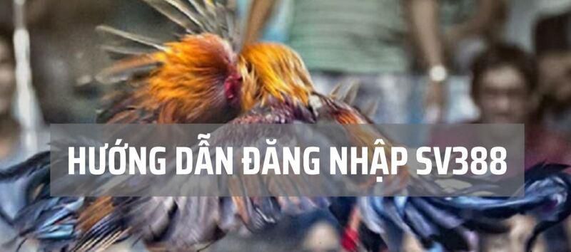 Chi tiết và Điều khoản Chính sách của Tp88 - Tp88
