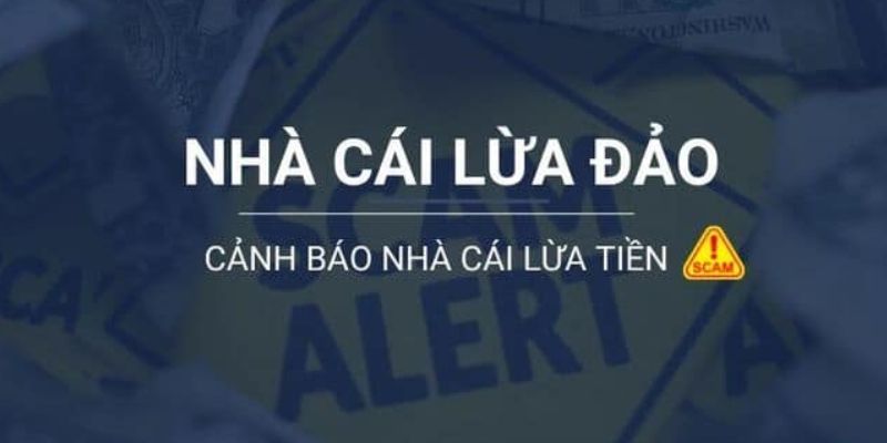 Những trò chơi chính trong các giải đấu cấp độ Typhu88 là gì? - Typhu88
