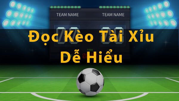 Chứng chỉ pháp lý và kinh doanh Xvip - Xvip