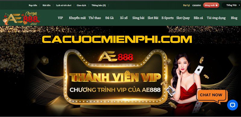 Thư viện game đạt chuẩn Sin88 rất ấn tượng - Sin88