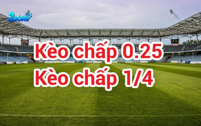 Lý do tại sao các thành viên lựa chọn đặt cược với các công ty cá cược được xếp hạng Eu88 - Eu88