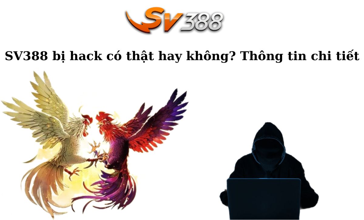 tiền thưởng cá cược miễn phí cấp độ Vvvwin - Vvvwin