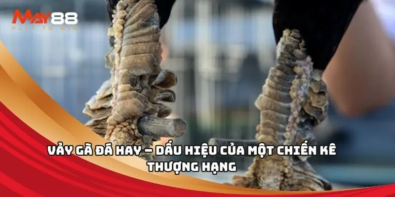 Cách đăng ký tài khoản game Kc88 - Kc88
