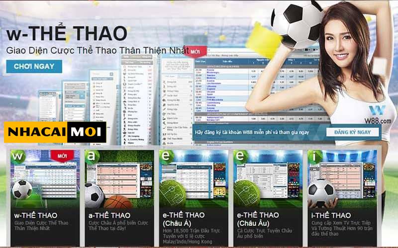 Bài đánh giá về một trò chơi thẻ bài cấp độ Aog777, giới thiệu nhiều sản phẩm xuất sắc - Aog777