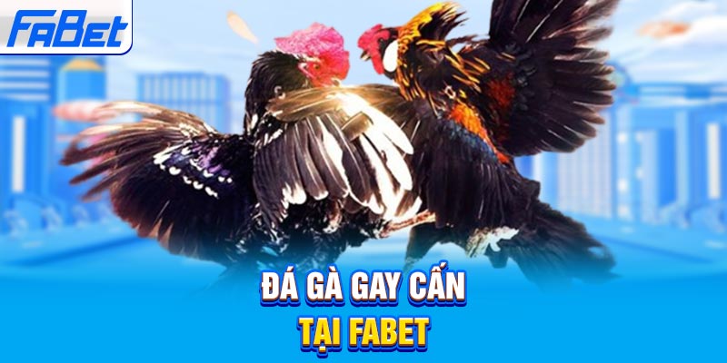 Đại lý chính thức của Công ty Game Open88 Open88 - Open88