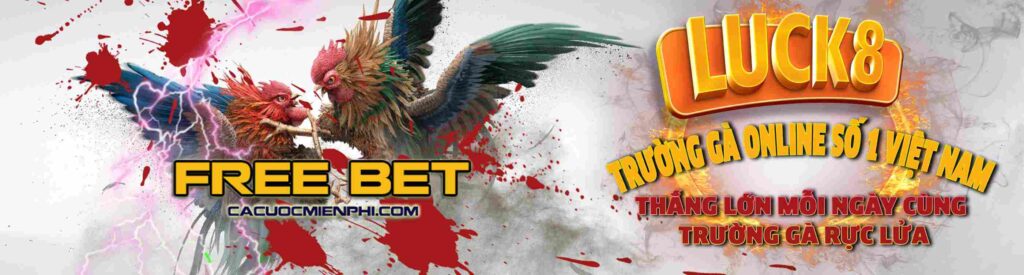 Chương trình khuyến mãi K8 thật tuyệt vời! - K8