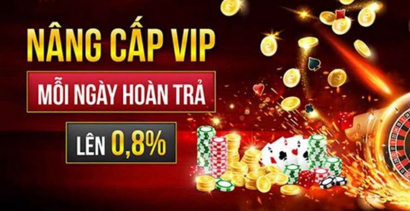 Liệu K8cc có được hợp pháp hóa tại Việt Nam vào năm 2026? - K8cc