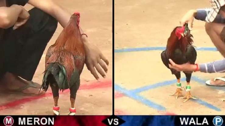 Nền tảng chơi game hàng đầu và uy tín đạt chuẩn Kuwin tại châu Á - Kuwin