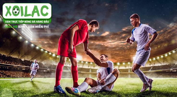 Tôi có thể liên hệ với bộ phận chăm sóc khách hàng của Dk8 bằng cách nào? - Dk8